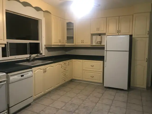 1 Bedroom Apartment $1800