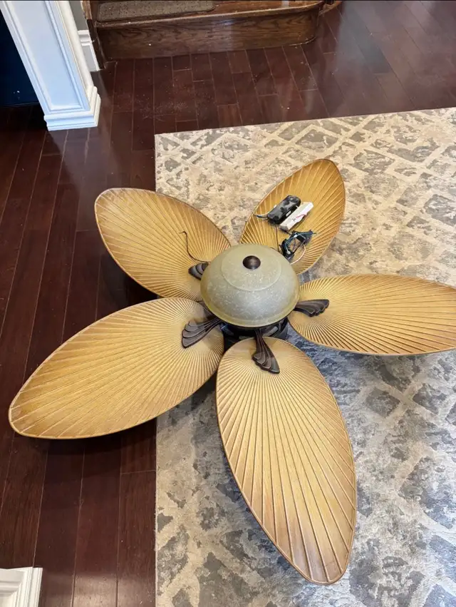FREE - Fan with light and remote