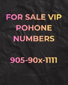 Lucky, Phone Numbers 416,647ending 7777,8888,0000,1111,5555