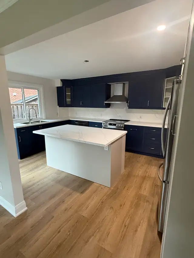 Experienced Renovator