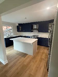 Experienced Renovator