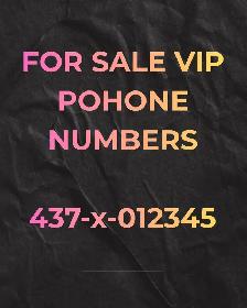 Upgrade your business phone Number to a more unique one!416,647