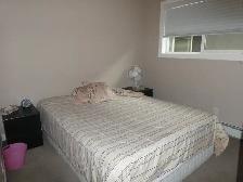 Furnished 2 Bed Condo in Blairmore for Rent - Photo 8