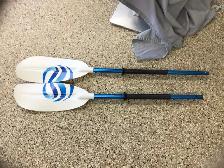 Paddle kayak35