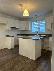 Freshly painted, 2 Bedroom Duplex apt. No Carpet with 2 outdoor - Photo 2