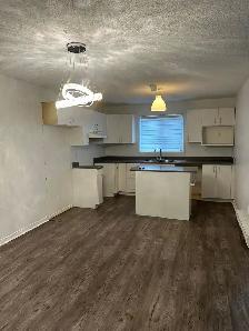 Freshly painted, 2 Bedroom Duplex apt. No Carpet with 2 outdoor - Photo 3