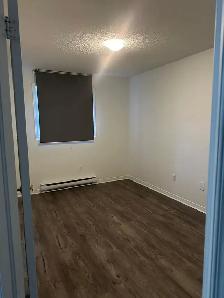 Freshly painted, 2 Bedroom Duplex apt. No Carpet with 2 outdoor - Photo 5