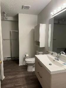 Freshly painted, 2 Bedroom Duplex apt. No Carpet with 2 outdoor - Photo 6