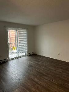 Freshly painted, 2 Bedroom Duplex apt. No Carpet with 2 outdoor - Photo 11
