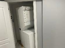 2 Bed 1 Bath Basement for Rent - Photo 4