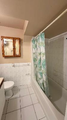 1 bedroom for rent - female only - Photo 4