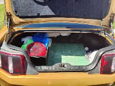 Ford, Mustang, Certified, - Photo 9