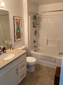 Available Sept. 1st - 1 Bed/1 Bath Apartment w/ 2 parking spots - Photo 7