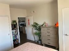 Available Sept. 1st - 1 Bed/1 Bath Apartment w/ 2 parking spots - Photo 17