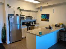Available Sept. 1st - 1 Bed/1 Bath Apartment w/ 2 parking spots - Photo 3