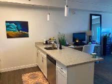 Available Sept. 1st - 1 Bed/1 Bath Apartment w/ 2 parking spots - Photo 4
