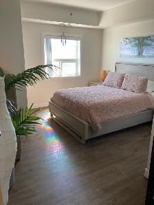 Available Sept. 1st - 1 Bed/1 Bath Apartment w/ 2 parking spots - Photo 16