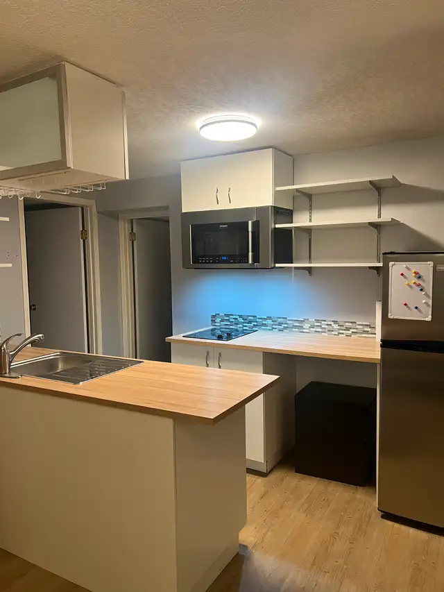 Newly Renovated Basement Suite for Rent