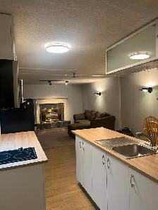 Newly Renovated Basement Suite for Rent - Photo 3