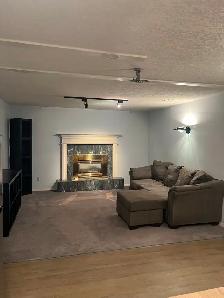 Newly Renovated Basement Suite for Rent - Photo 4
