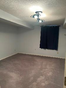 Newly Renovated Basement Suite for Rent - Photo 5