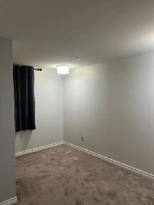 Newly Renovated Basement Suite for Rent - Photo 7