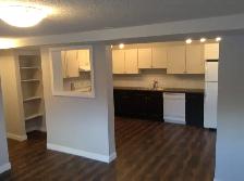 UTILITIES INCLUDED 2 Bed 1 Bath Lower Suite/Patterson Avail Aug1 - Photo 3