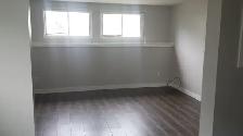 UTILITIES INCLUDED 2 Bed 1 Bath Lower Suite/Patterson Avail Aug1 - Photo 5