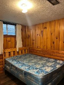 Cozy and convenient 1 bedroom - Photo 8
