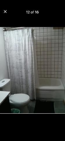 Cozy and convenient 1 bedroom - Photo 9