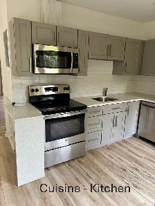 Magnifique appartement RÉNOVÉ ville St-Laurent H4L2B8 - Photo 6