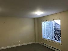 Beautiful 2 bedrooms legal suite Basement for rent - Photo 4
