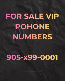 416,647,905 Numbers1010,2020,3030,4040,5050,6060,7070,