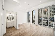 BRAND NEW Studio Apartment - In The Heart of Downtown! - Photo 3
