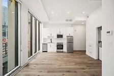 BRAND NEW Studio Apartment - In The Heart of Downtown! - Photo 4