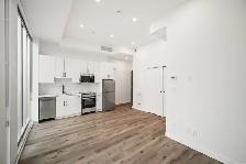 BRAND NEW Studio Apartment - In The Heart of Downtown! - Photo 5