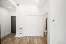 BRAND NEW Studio Apartment - In The Heart of Downtown! - Photo 6