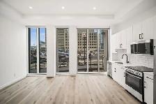 BRAND NEW Studio Apartment - In The Heart of Downtown! - Photo 11