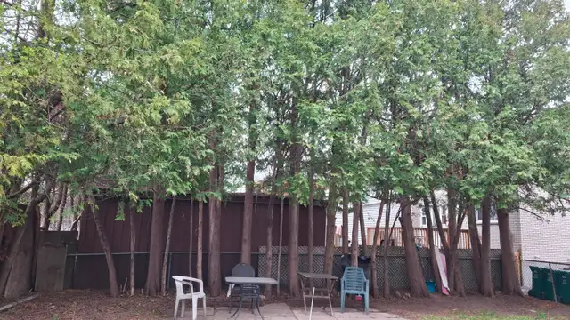 One Large Room (165 sqf) on the First Floor – $799 All-Inclusive