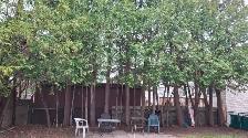 One Large Room (165 sqf) on the First Floor – $799 All-Inclusive