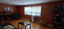 One Large Room (165 sqf) on the First Floor – $799 All-Inclusive - Photo 2
