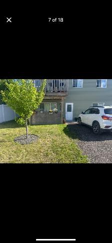 Lower Legal Suite for Rent - Photo 3