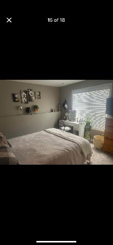 Lower Legal Suite for Rent - Photo 10