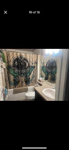 Lower Legal Suite for Rent - Photo 11