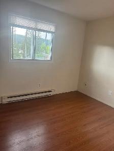 Available July 1st 2 bdrm apartment $ 1000 (pet friendly) /Tabor - Photo 2
