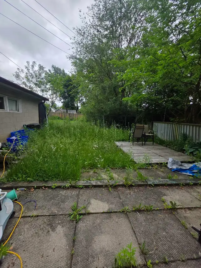 lawn care.