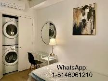 June22-30,Fully furnished new studio near uqam , old porMontreal - Photo 3