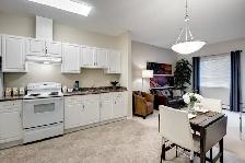 Affordable Adult (55 ) Living in Schonsee Square - Photo 6
