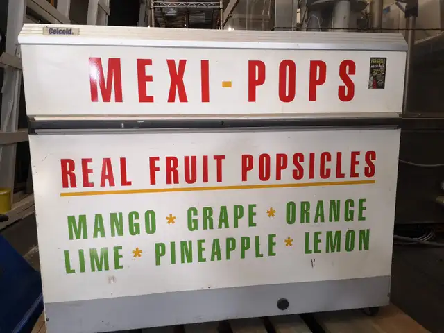 Ready-to-Go Popsicle Business – Great for Markets & Festivals