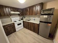 Studio Bsmt apt rent Near Warden TTC Station available July 1st - Photo 3
